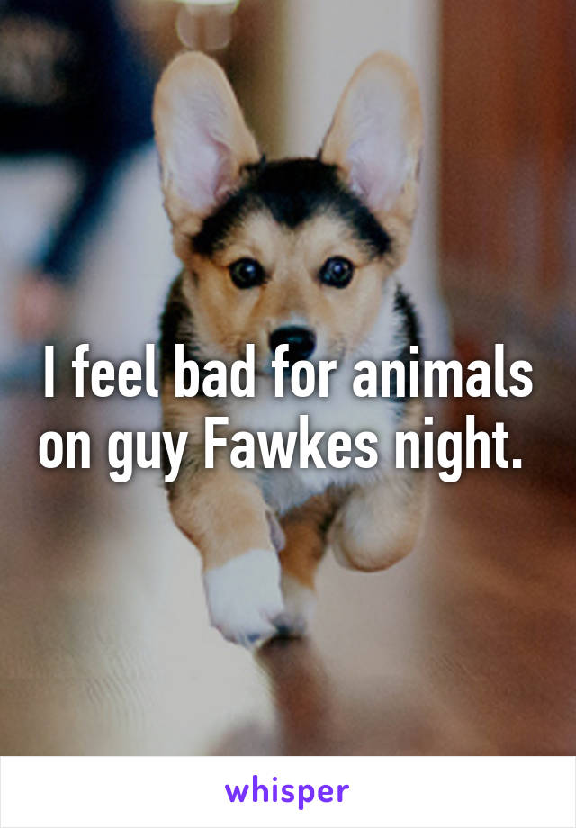 I feel bad for animals on guy Fawkes night. 