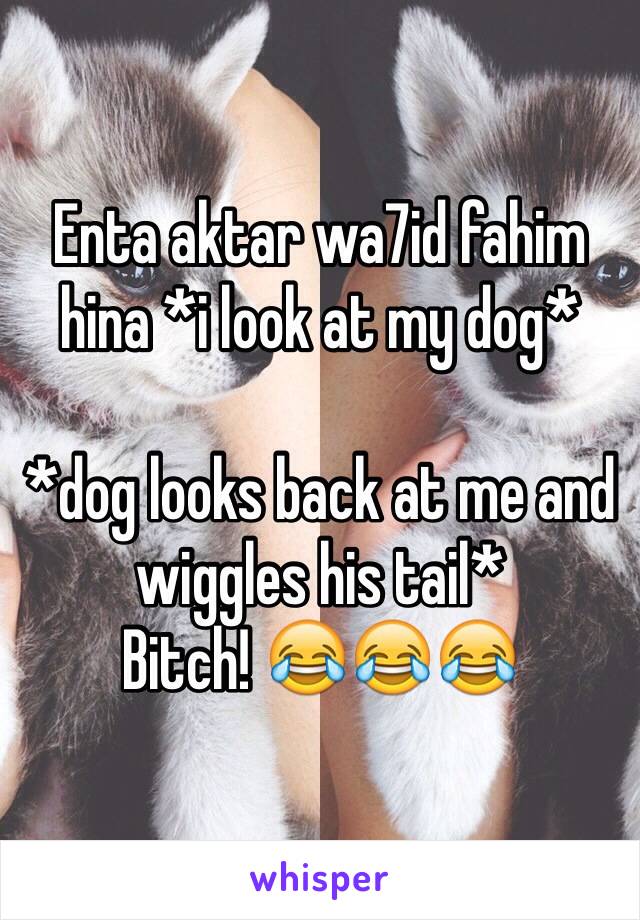 Enta aktar wa7id fahim hina *i look at my dog* 

*dog looks back at me and wiggles his tail*
Bitch! 😂😂😂