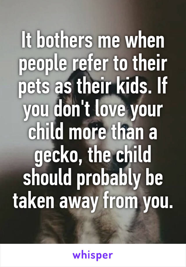 It bothers me when people refer to their pets as their kids. If you don't love your child more than a gecko, the child should probably be taken away from you. 