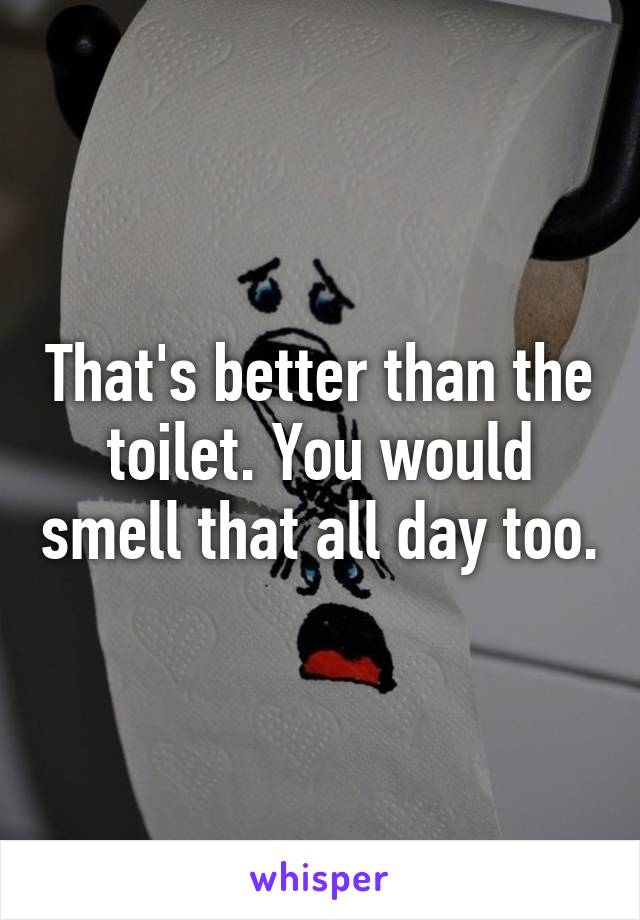 That's better than the toilet. You would smell that all day too.