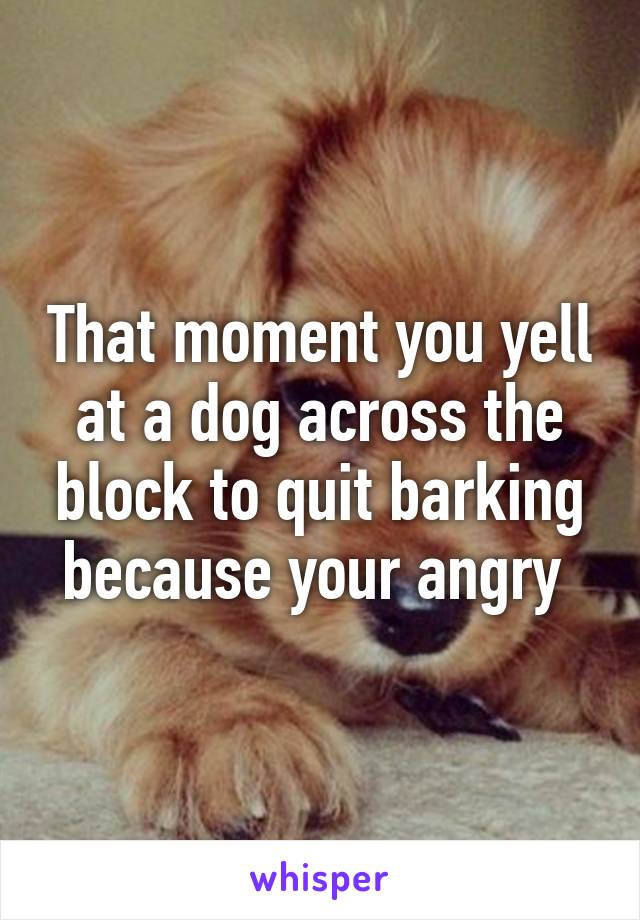 That moment you yell at a dog across the block to quit barking because your angry 