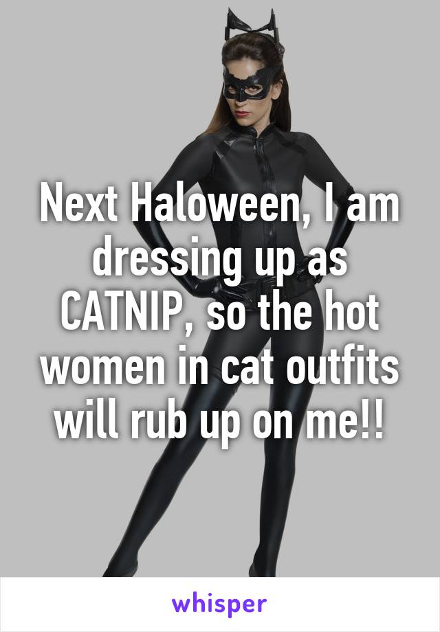 Next Haloween, I am dressing up as CATNIP, so the hot women in cat outfits will rub up on me!!