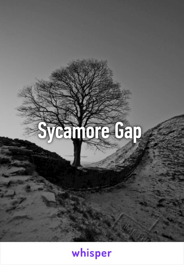 Sycamore Gap 