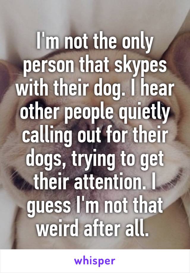 I'm not the only person that skypes with their dog. I hear other people quietly calling out for their dogs, trying to get their attention. I guess I'm not that weird after all. 