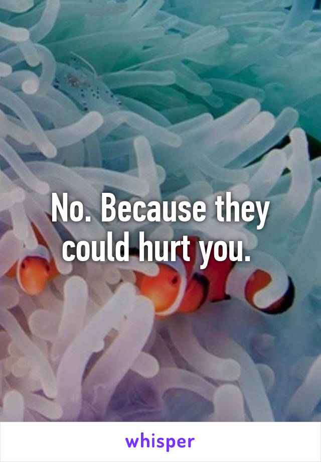 No. Because they could hurt you. 