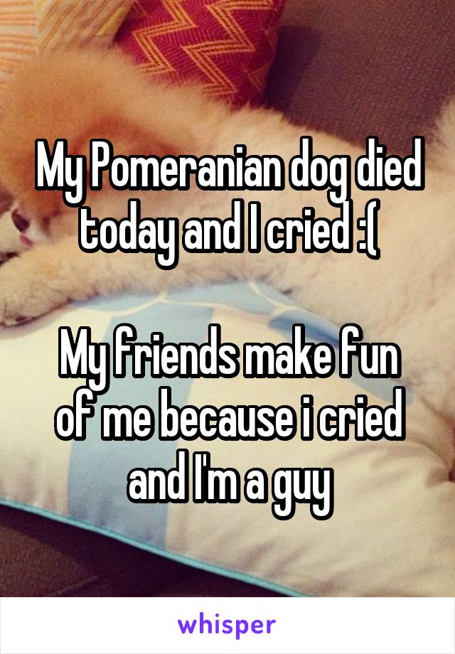 My Pomeranian dog died today and I cried :(

My friends make fun of me because i cried and I'm a guy