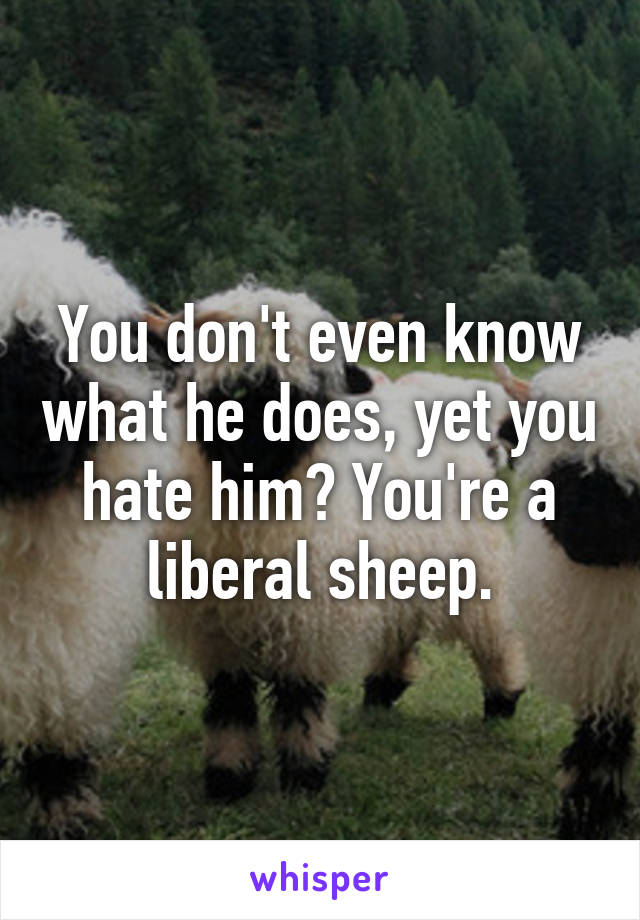 You don't even know what he does, yet you hate him? You're a liberal sheep.