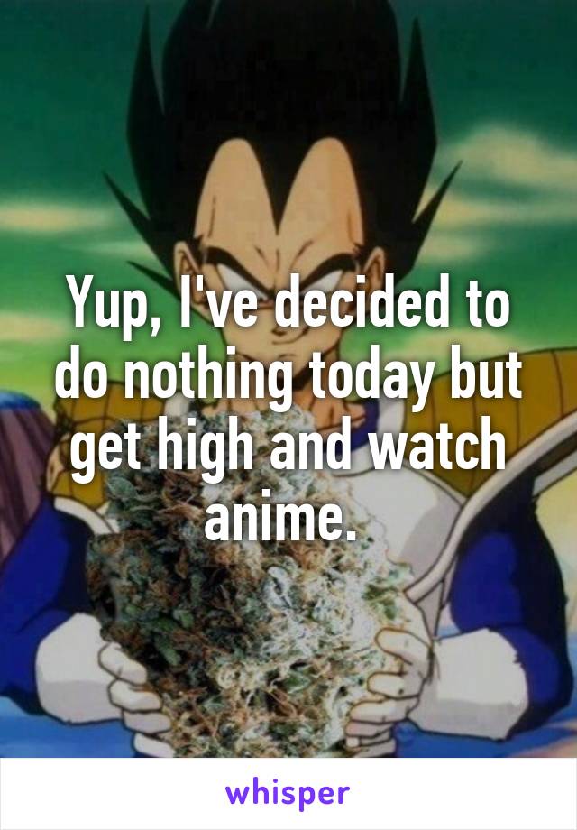 Yup, I've decided to do nothing today but get high and watch anime. 