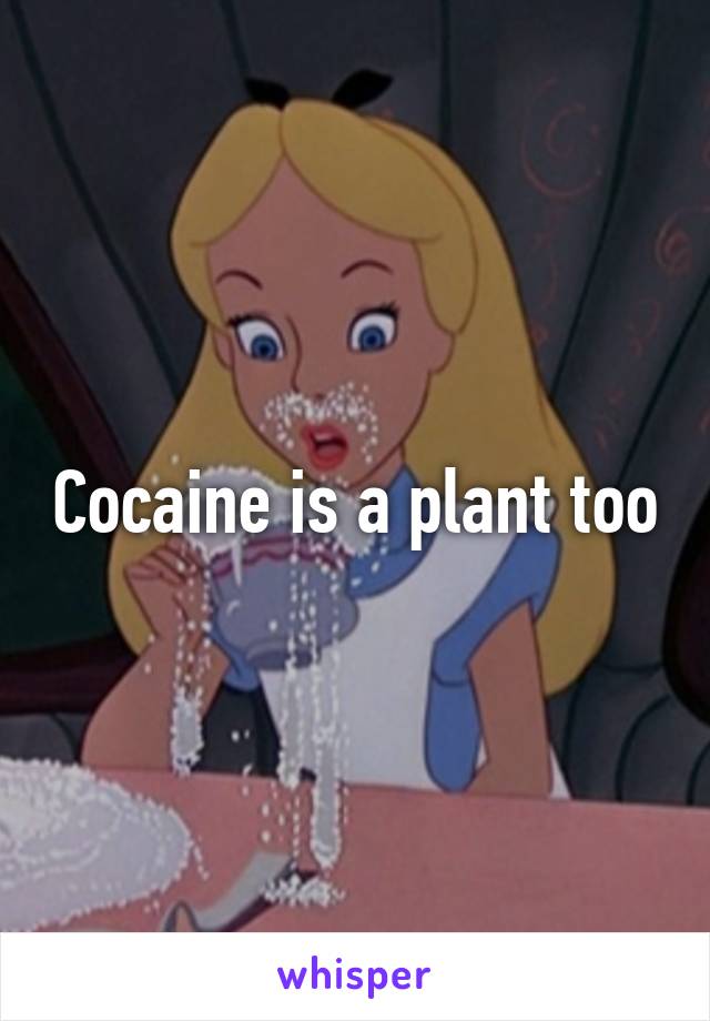 Cocaine is a plant too