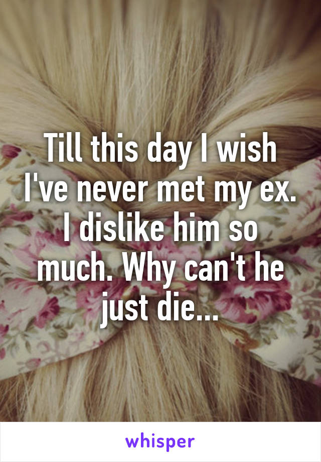 Till this day I wish I've never met my ex. I dislike him so much. Why can't he just die...