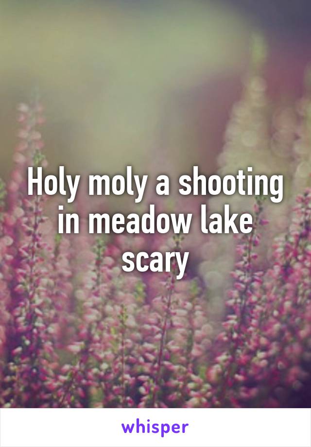 Holy moly a shooting in meadow lake scary