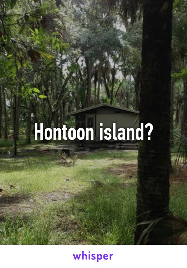 Hontoon island?