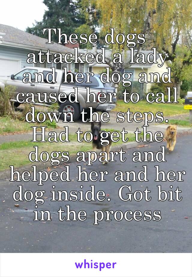 These dogs attacked a lady and her dog and caused her to call down the steps. Had to get the dogs apart and helped her and her dog inside. Got bit in the process