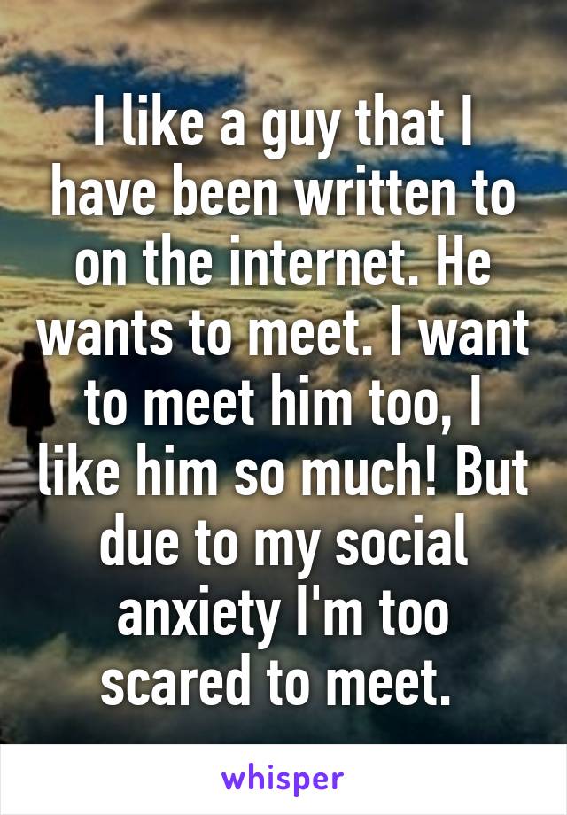 I like a guy that I have been written to on the internet. He wants to meet. I want to meet him too, I like him so much! But due to my social anxiety I'm too scared to meet. 