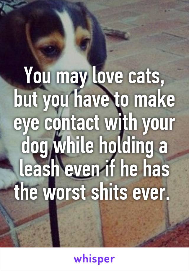 You may love cats, but you have to make eye contact with your dog while holding a leash even if he has the worst shits ever. 