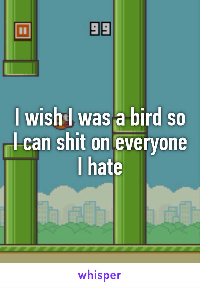 I wish I was a bird so I can shit on everyone I hate