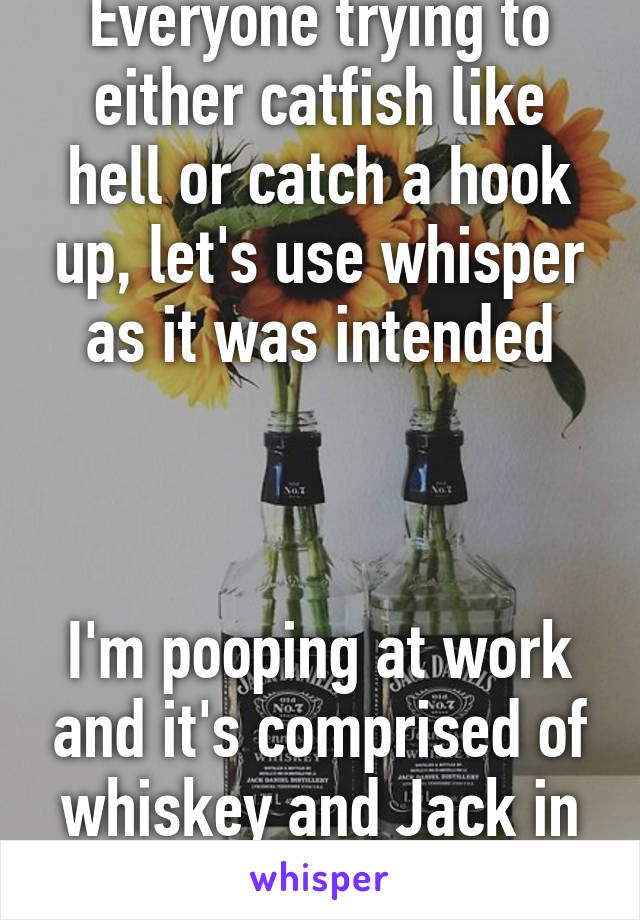 Everyone trying to either catfish like hell or catch a hook up, let's use whisper as it was intended



I'm pooping at work and it's comprised of whiskey and Jack in the box... it's terrible