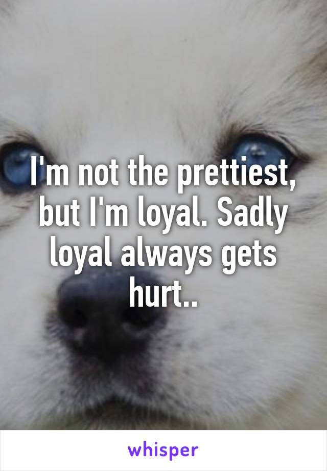 I'm not the prettiest, but I'm loyal. Sadly loyal always gets hurt..