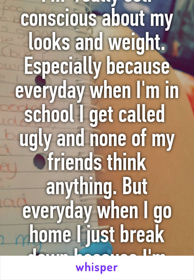 I'm  really self conscious about my looks and weight. Especially because everyday when I'm in school I get called  ugly and none of my friends think anything. But everyday when I go home I just break down because I'm sick of everything. 