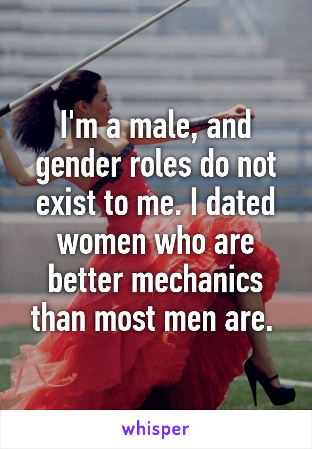 I'm a male, and gender roles do not exist to me. I dated women who are better mechanics than most men are. 