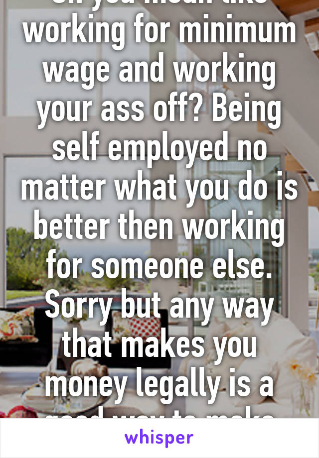 Oh you mean like working for minimum wage and working your ass off? Being self employed no matter what you do is better then working for someone else. Sorry but any way that makes you money legally is a good way to make money. 