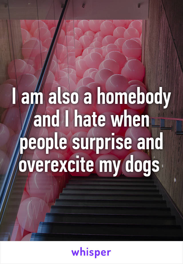 I am also a homebody and I hate when people surprise and overexcite my dogs 