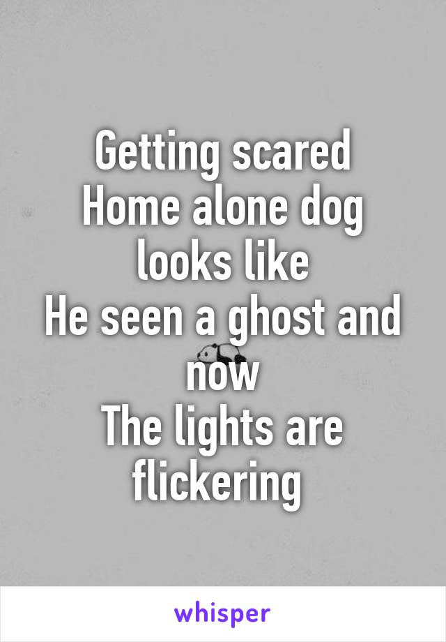 Getting scared
Home alone dog looks like
He seen a ghost and now
The lights are flickering 