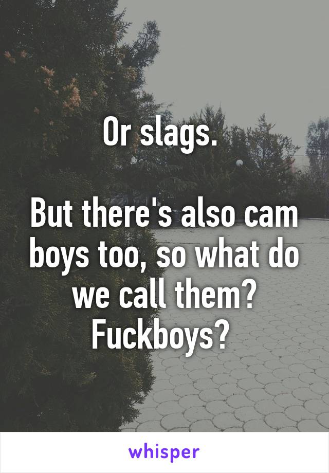 Or slags. 

But there's also cam boys too, so what do we call them? Fuckboys? 