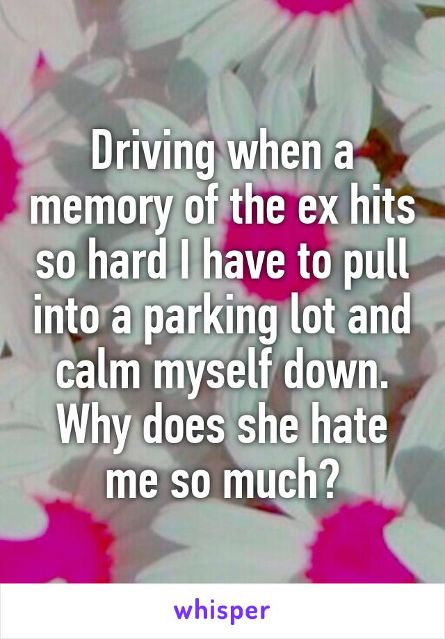 Driving when a memory of the ex hits so hard I have to pull into a parking lot and calm myself down.
Why does she hate me so much?