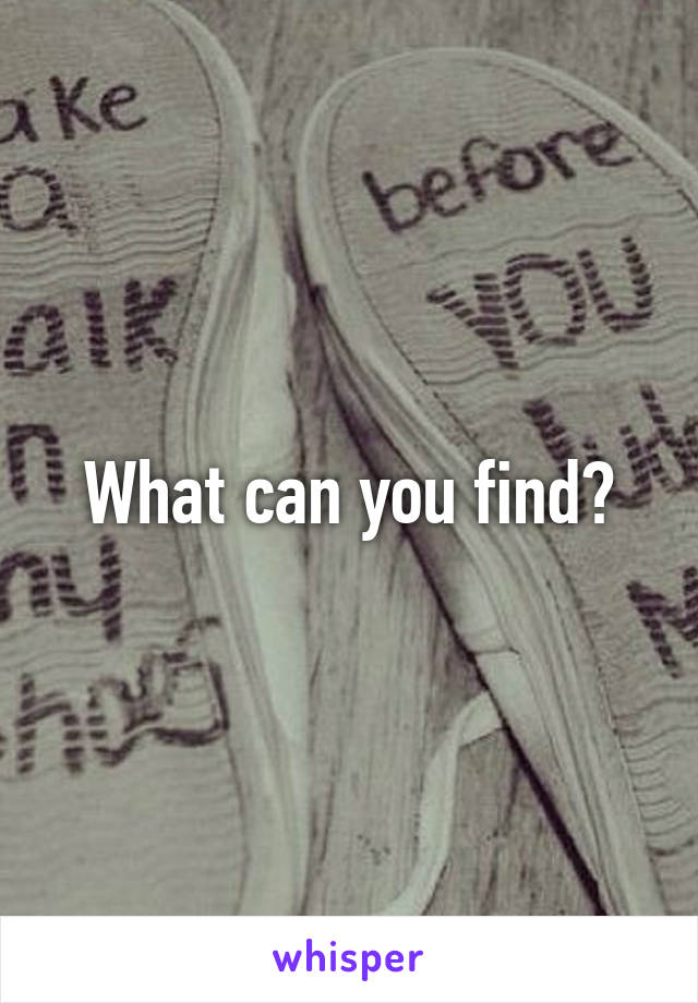 What can you find?