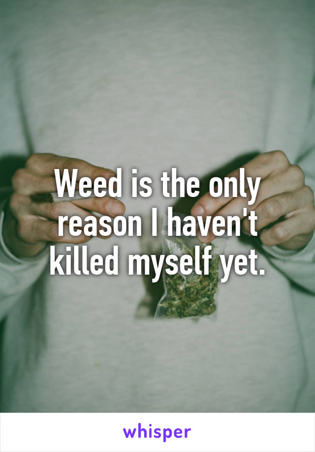 Weed is the only reason I haven't killed myself yet.