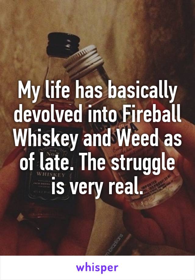 My life has basically devolved into Fireball Whiskey and Weed as of late. The struggle is very real.