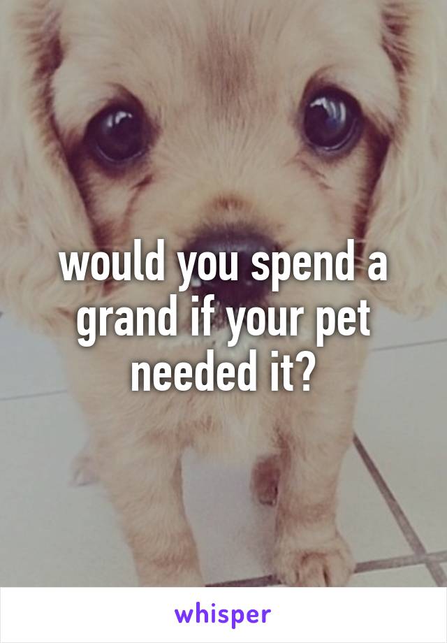 would you spend a grand if your pet needed it?