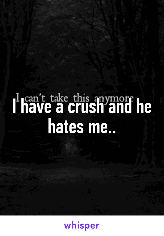 I have a crush and he hates me..