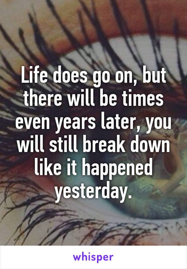 Life does go on, but there will be times even years later, you will still break down like it happened yesterday.