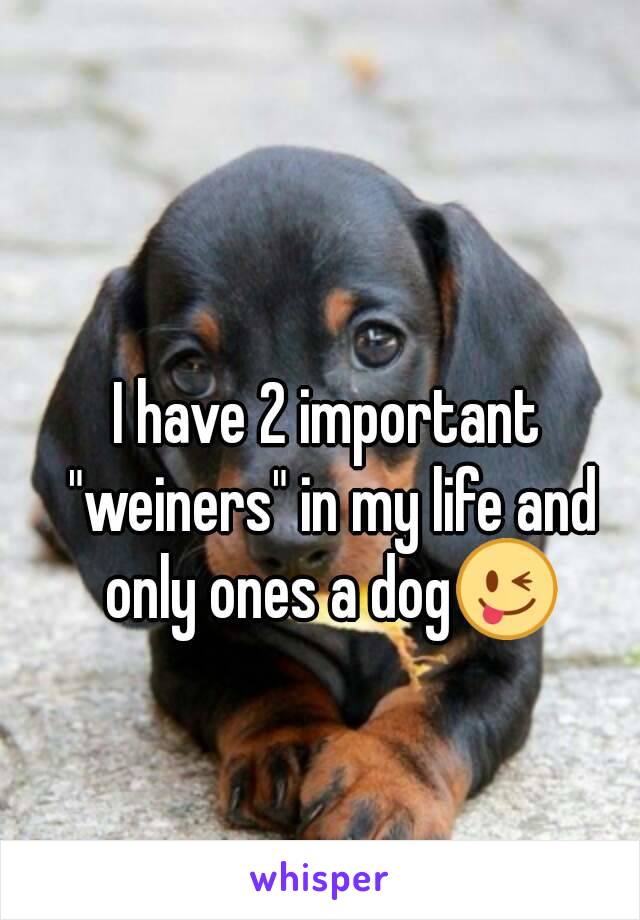 I have 2 important "weiners" in my life and only ones a dog😜