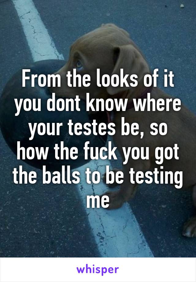 From the looks of it you dont know where your testes be, so how the fuck you got the balls to be testing me