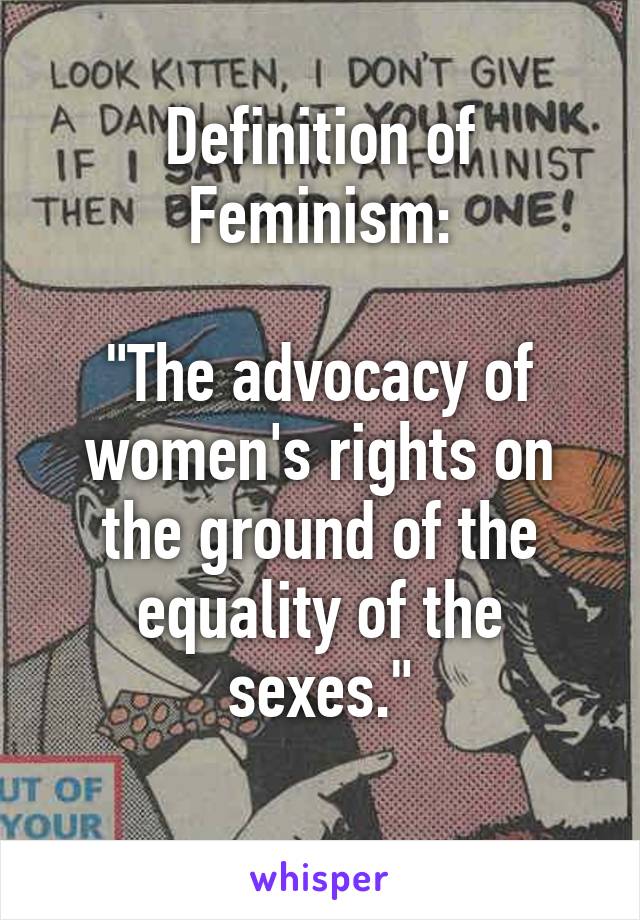 Definition of Feminism:

"The advocacy of women's rights on the ground of the equality of the sexes."
