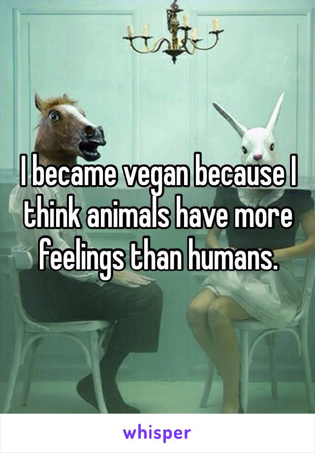I became vegan because I think animals have more feelings than humans.

