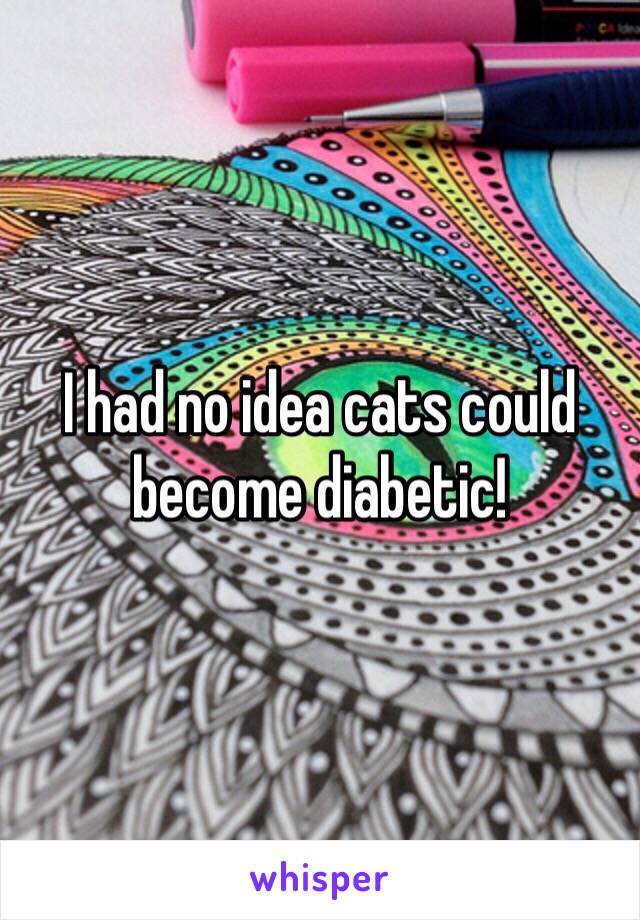 I had no idea cats could become diabetic!