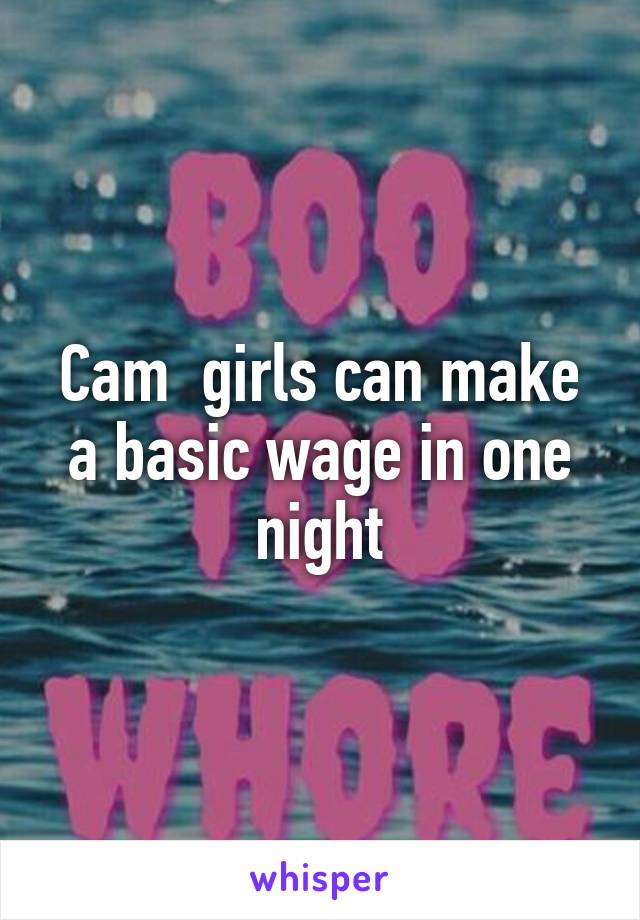 Cam  girls can make a basic wage in one night