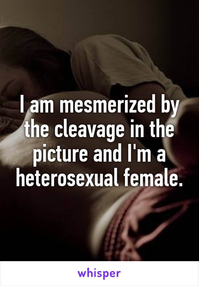 I am mesmerized by the cleavage in the picture and I'm a heterosexual female.