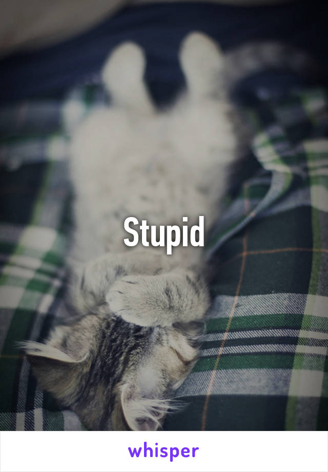 Stupid