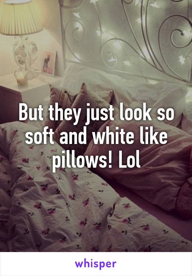 But they just look so soft and white like pillows! Lol