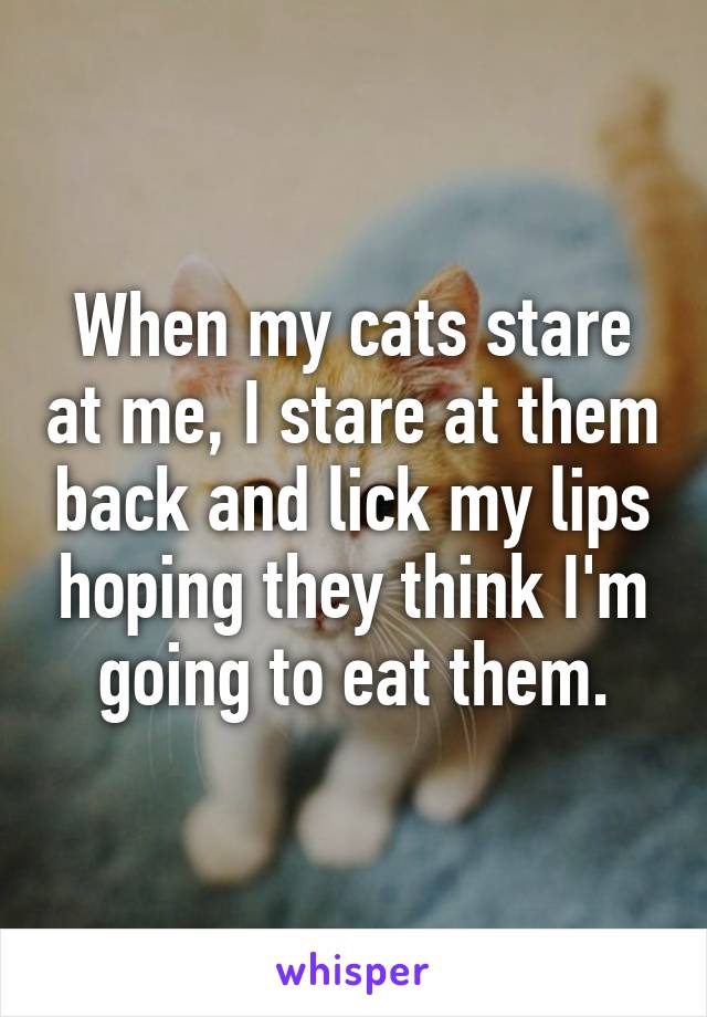 When my cats stare at me, I stare at them back and lick my lips hoping they think I'm going to eat them.