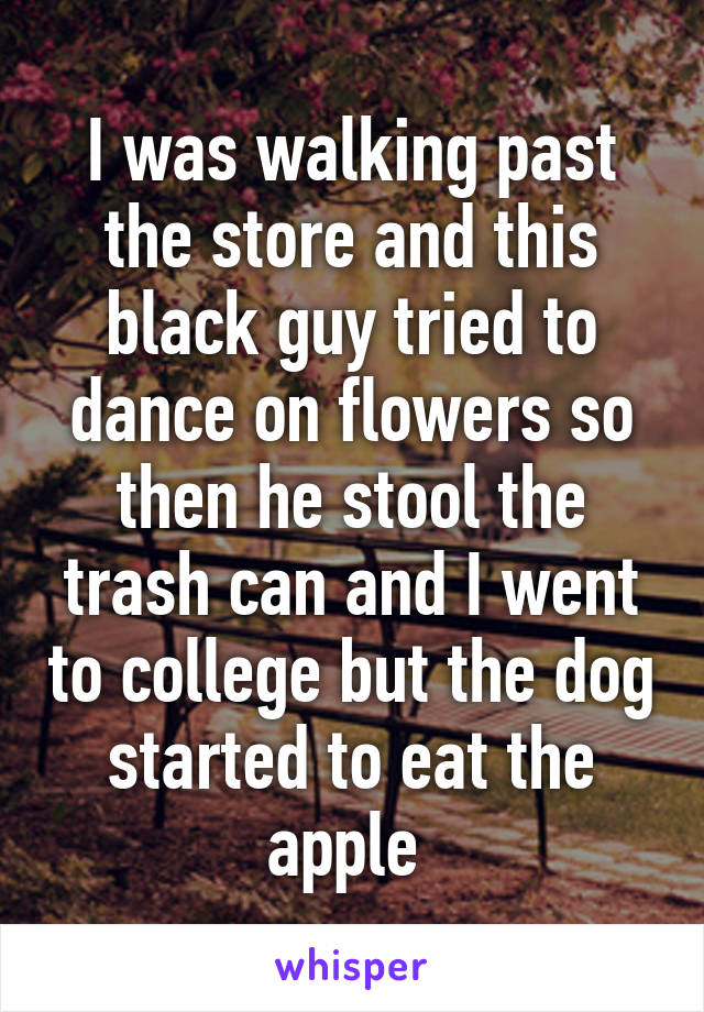 I was walking past the store and this black guy tried to dance on flowers so then he stool the trash can and I went to college but the dog started to eat the apple 