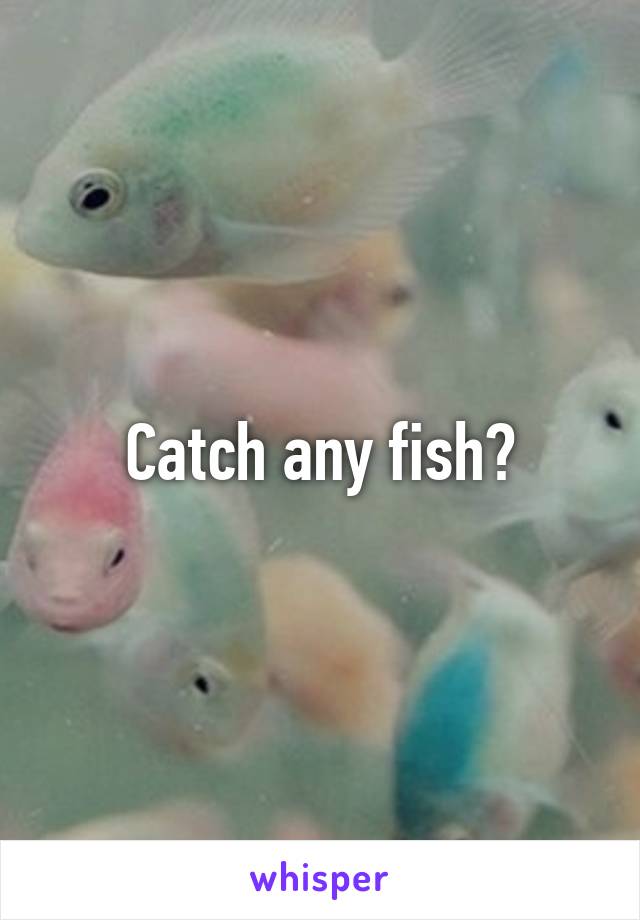 Catch any fish?