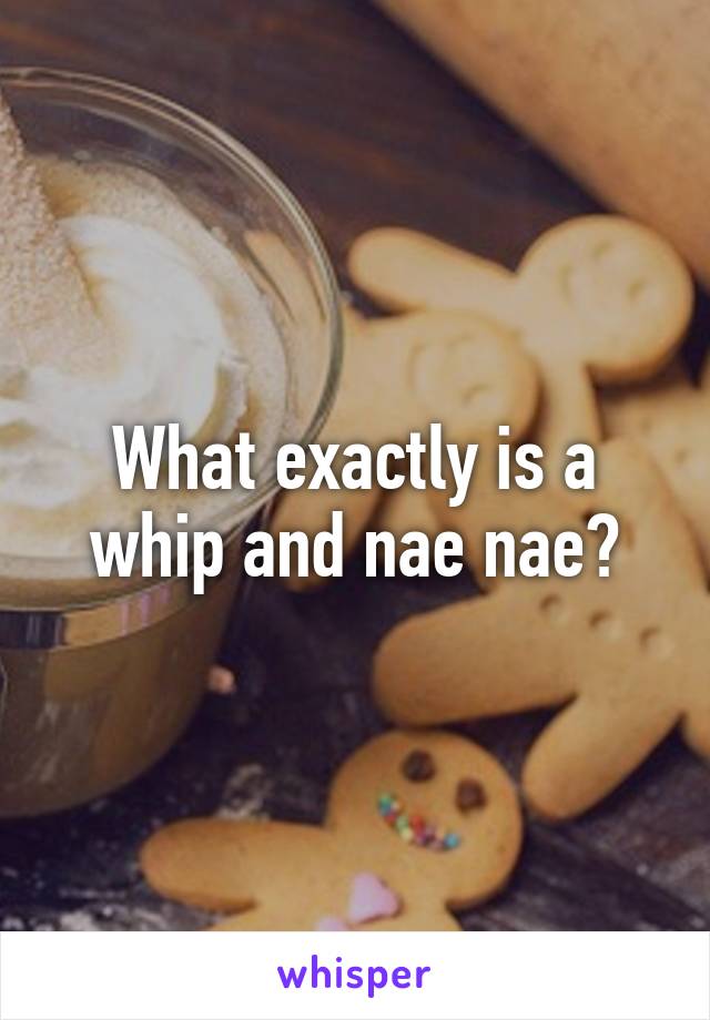 What exactly is a whip and nae nae?