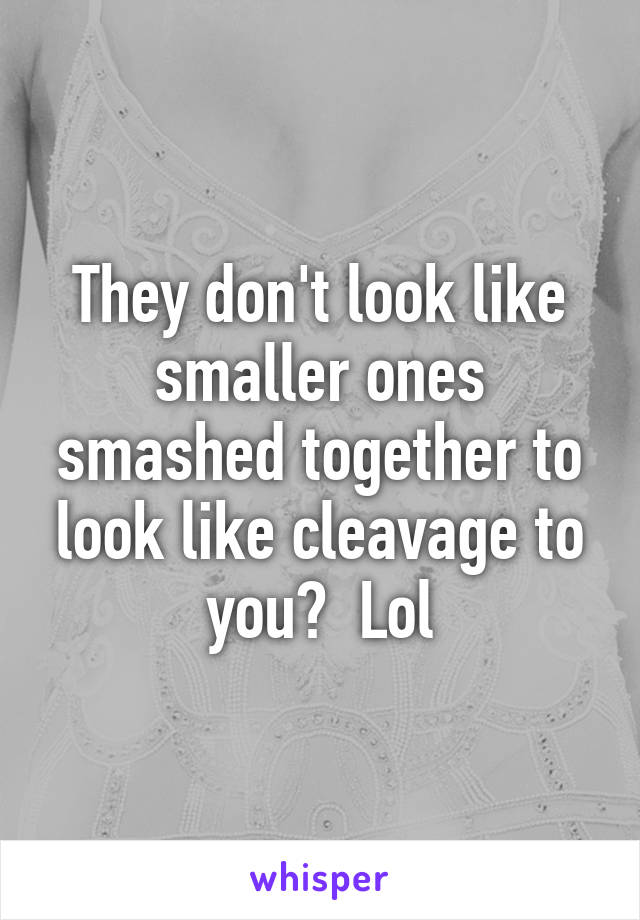 They don't look like smaller ones smashed together to look like cleavage to you?  Lol