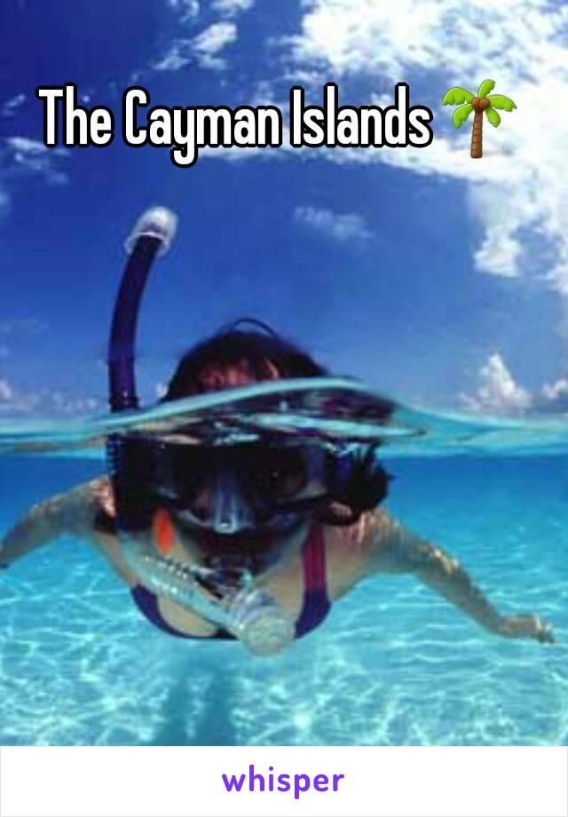 The Cayman Islands🌴